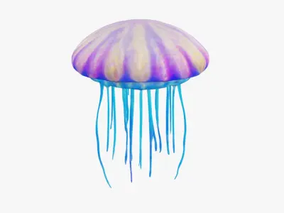 Jellyfish Free 3D model