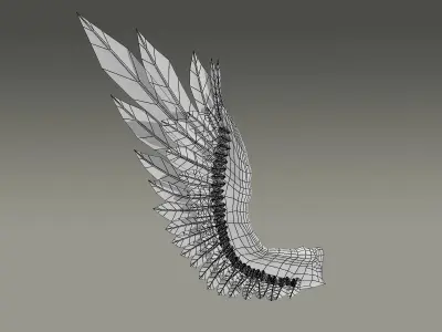 Bird Angel Wing 3D model