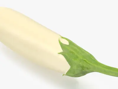 Eggplants Collection 3D model