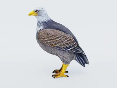 Eagle Free 3D model