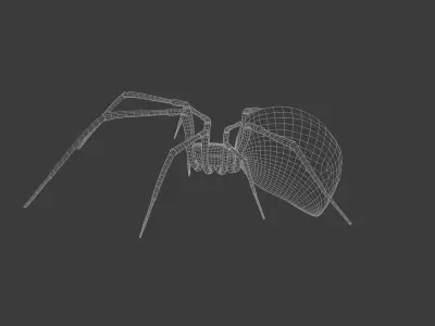 Black widow spider 3d model Free 3D model