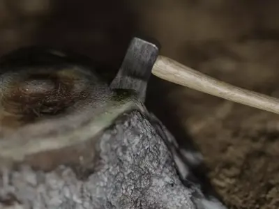 High-Poly PBR Axe tree stump being cut with Free 3D model