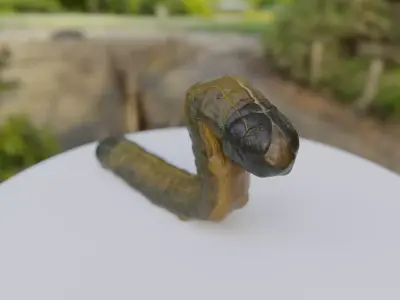 Young Fall Armyworm Low-poly 3D model