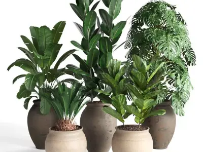 plant collection RPM 02 3D model