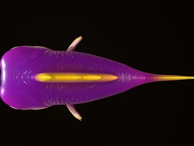 Asset - Cartoons - Animal - Fish 3D model