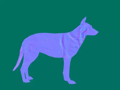 Belgian Malinois Free 3D model