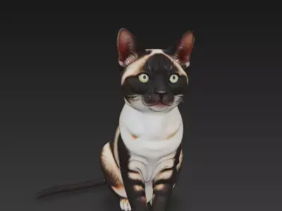 Cat Realistic 3D Model Basic - Low Poly Realistic Low-poly 3D model