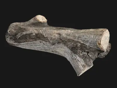 A piece of sawn wood 3d scan in highpoly 3D model