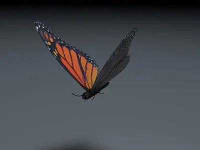 Orange Butterfly 3D model