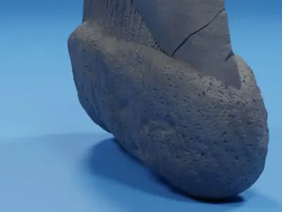 Megalodon Tooth Fossil 3D print model