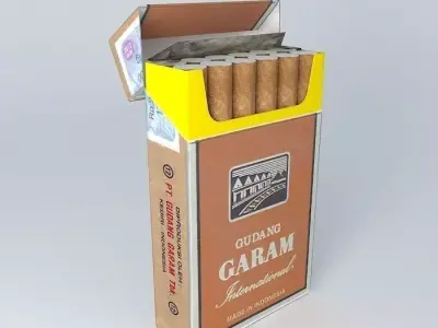 Gudang Garam International Filter Cigarettes 3D model