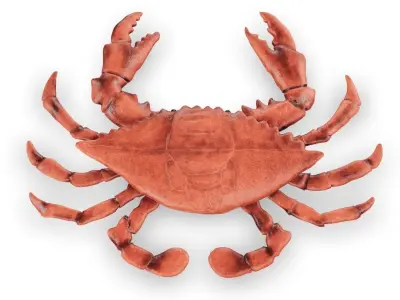 Crab 3D 3D model