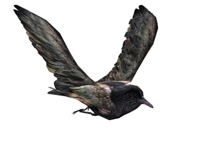 Crow Animated Low-poly 3D model