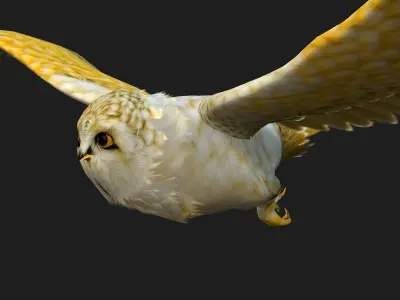 OwlBird A4 3D model