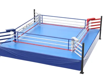 Detailed Boxing Ring 3D model