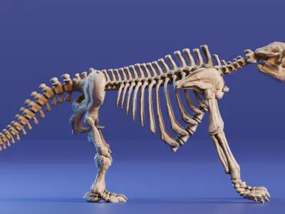 Realistic Mammals Fossil - Megatherium Low-poly 3D model