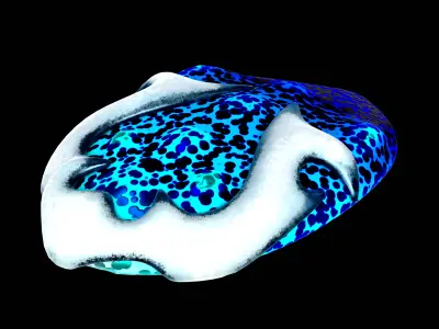 Fat-bellied blue whale Low-poly 3D model