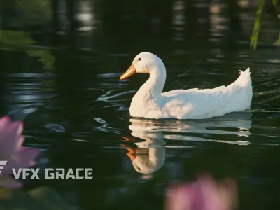 Duck Animated VFX Grace 3D model