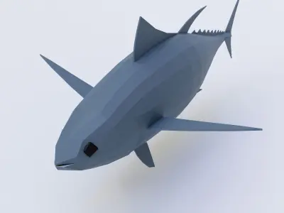 Tuna fish low poly 3d model  Low-poly 3D model