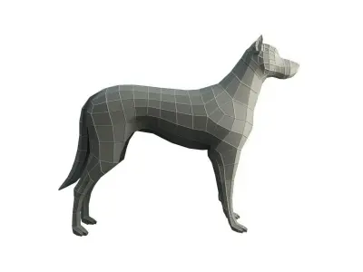 Base Mesh Dog - Low Poly  Low-poly 3D model