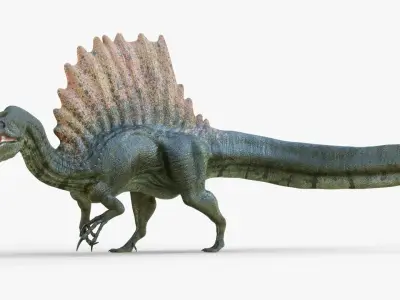 Realistic Spinosaurus Rigged and Animated Low-poly 3D model