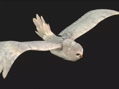 OwlBird A3 Free low-poly 3D model