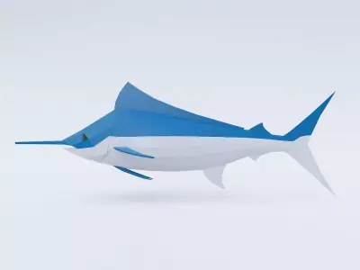 Atlantic blue marlin fish 3d model  Low-poly 3D model
