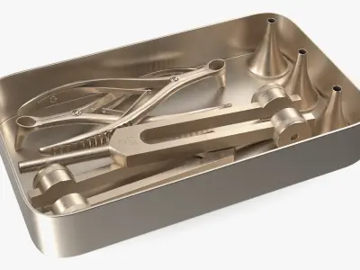 ENT Diagnostic Kit in Box Gold-Plated Stainless Steel 3D model