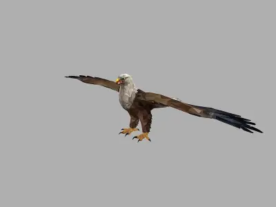 Bald Eagle Low Polygon Art Bird Animal Low-poly 3D model