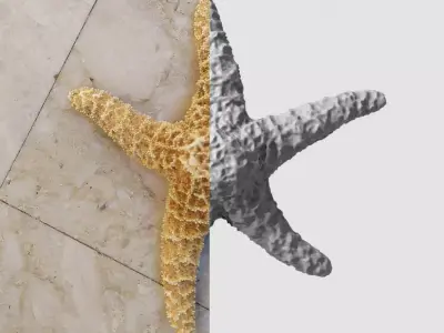 Dry decorative photoscanned Starfish Low-poly 3D model