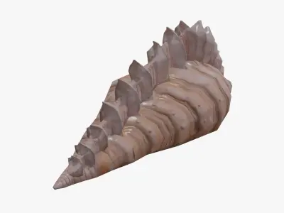 Sea Shell Low-poly 3D model