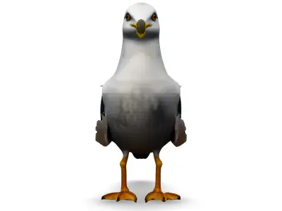 Realistic Seagull 3D Model Low-poly 3D model