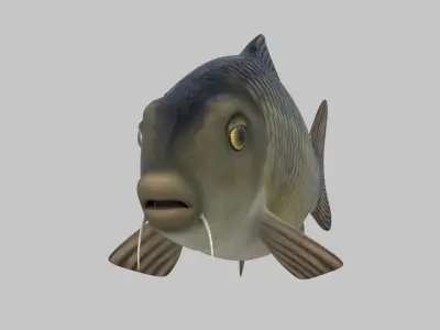 river Fish 3D model