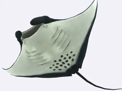 3DRT - Sealife - Manta ray Low-poly 3D model