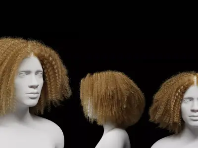 Middle Part Curls 3D model