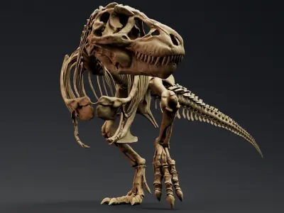 Dinosaur Trex Sue Skeleton Unreal Engine - Unity Projects 3D model