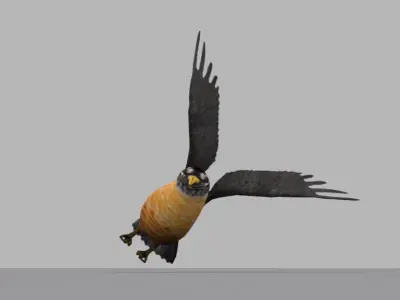 animated low-poly bird  Low-poly 3D model