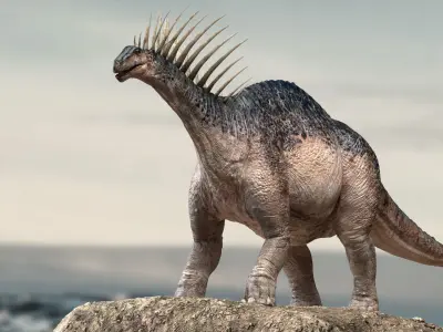 Amargasaurus 3D Rigged model Low-poly 3D model