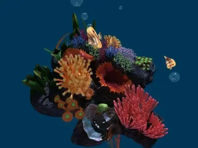 Coral reef transparent 3D model