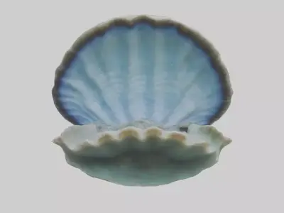 Giant Clam resting on reef model Low-poly 3D model