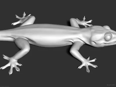 Tropical House Gecko Lizard - Highpoly Model 3D model