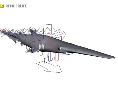 Goblin shark with animation 3D model