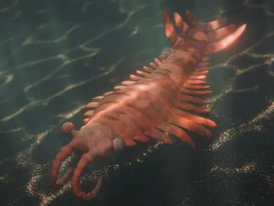 Anomalocaris Low-poly 3D model