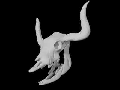 Bull Skull Low-poly 3D model
