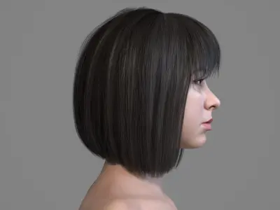 Realistic Brown Black Bob Hair with Bangs 3D Model