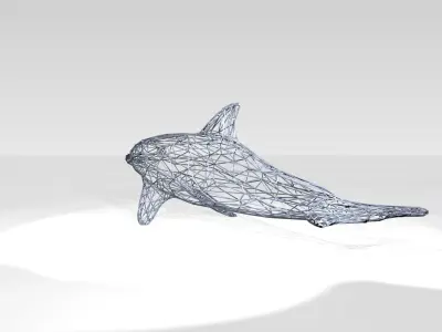Dolphin Wireframe 3D model