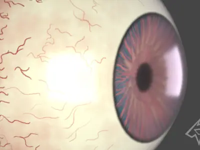 3D eyes with 6 varing eye colours- Rigged 3D model