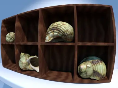 Green Seashell - High Quality Scan - 4K PBR Textures 3D model