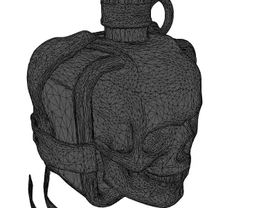 Grungy Skull Canteen Flask 3D model