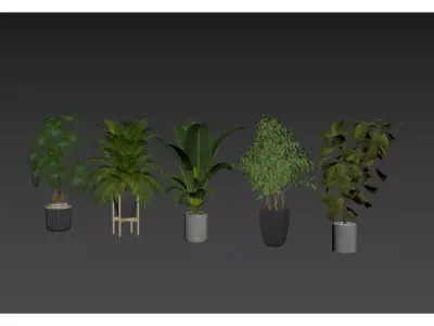potted plant combination 3D model
